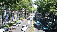 aoyamaomotesando_img_2