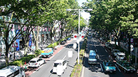 aoyamaomotesando_img_2