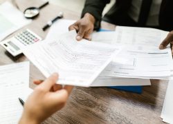 初めての確定申告を行う方のために白色申告の手順を紹介！